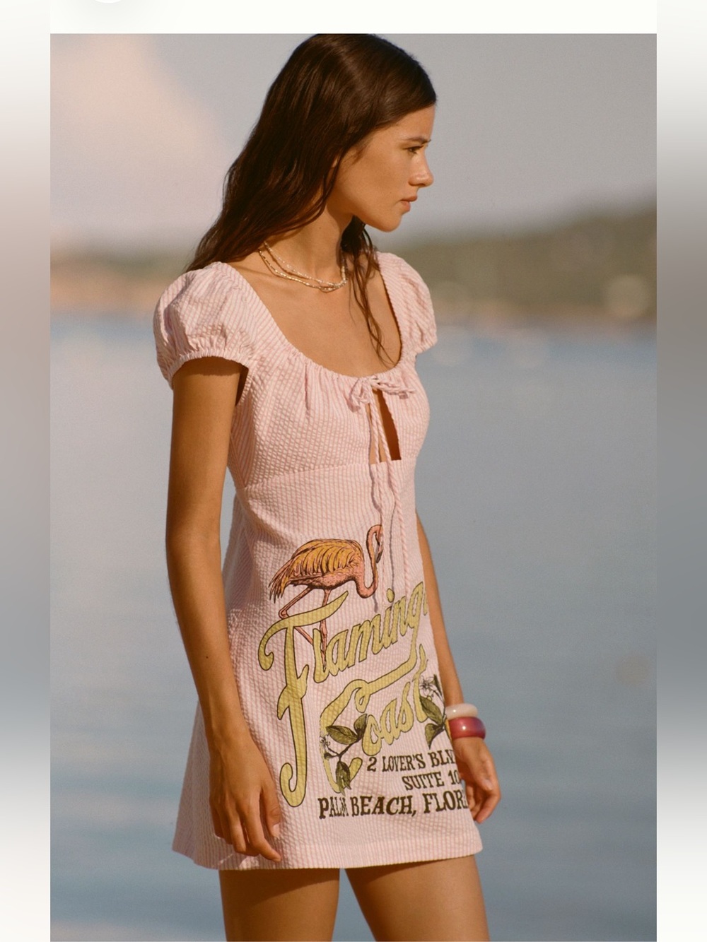 Anthropologie Celenadine Flamingo Mini Dress Size small new SOLD OUT